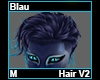 Blau Hair M V2