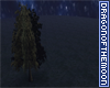 Nighttime Tree