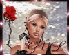 Black Gala BUNDLES