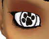 Bone-WhiteCatpaw Eyes