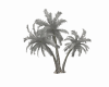 White palm trees