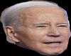 Joe Biden Head 2.0