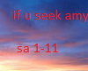 if u seek amy