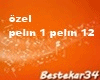 özel