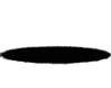 Black Fur Rug