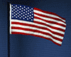 Indepence Flag