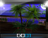 (D001)Palm Tree Potted