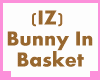 (IZ) Bunny In Basket