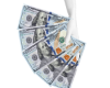 Money Hand Fan