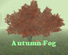 Autumn Fog Tree Spring