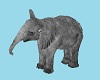Elephant   Bambino