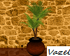 -V- Love Shelter Plant 2