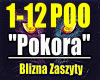 Pokora-Blizna Zaszyty...