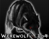 ! Black Werewolf Animate