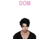 Dom Headsign Pink