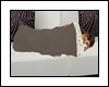 Cobertor+Pose/Blanket