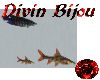 DB Animated Fish