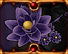 RP Ayane Flowers R