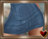 CG Denim Skirt