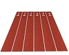 School Race Track