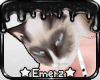 !E! Grumpy Shoulder Cat
