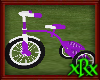 Little Purple Tricycle