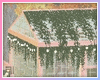 Rach*Greenhouse
