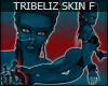 +KM+ TribeLiz Skin v1 F
