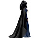 Black Cape