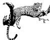 wall decal leopard