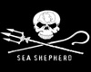Sea shepherd rug