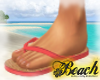 |D| Salmon FlipFlop