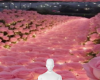 Road of roses bg
