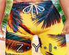 ZY: Beach Short F