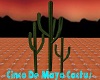Cinco De Mayo Cactus