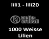 1000 Weisse Lilien