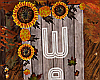 Thanksgiving Welcome