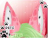 [Pets] Tila | ears v1