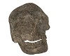 Pirate Skull Rock NPC 3