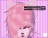 [JxR] Simply Pink Ears
