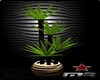 Exotic Plant Vega