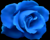 Blue Rose art frame
