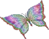 ~CC~Animated Butterfly