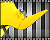 YELLO DESIGNER BOOT