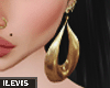 ♛Rare Golden Earrings