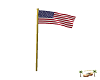 .(IH) U.S. ANIMATED FLAG