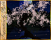 I~Sakura Blossom Tree