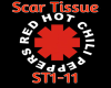 (HD) Scar Tissue - RHCP