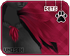 [Pets ]Ziro |shldr tufts