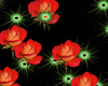 Red Roses Heart Bundle